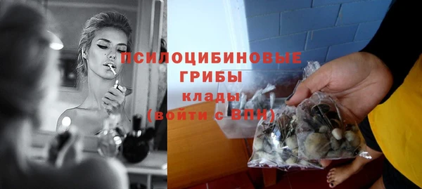 дурь Богородицк