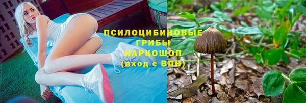 тгк Белокуриха