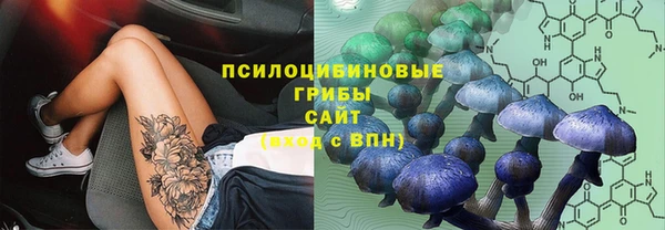 COCAINE Богданович