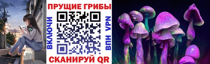 Купить  Дмитровск  Галлюциногенные грибы Magic Shrooms 