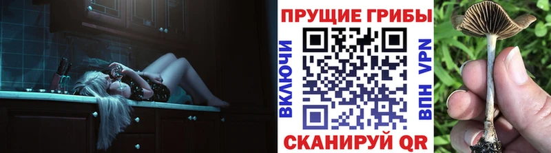 Галлюциногенные грибы MAGIC MUSHROOMS Дмитровск