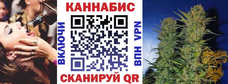 Шишки марихуана сатива  Купить  Дмитровск 