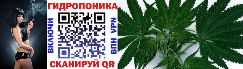 Бошки Шишки White Widow Дмитровск